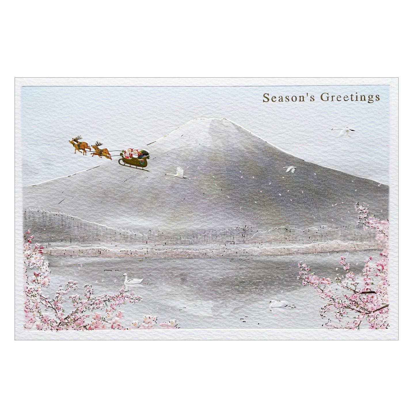 Mini Santa - Mt. Fuji || Cherry Blossoms