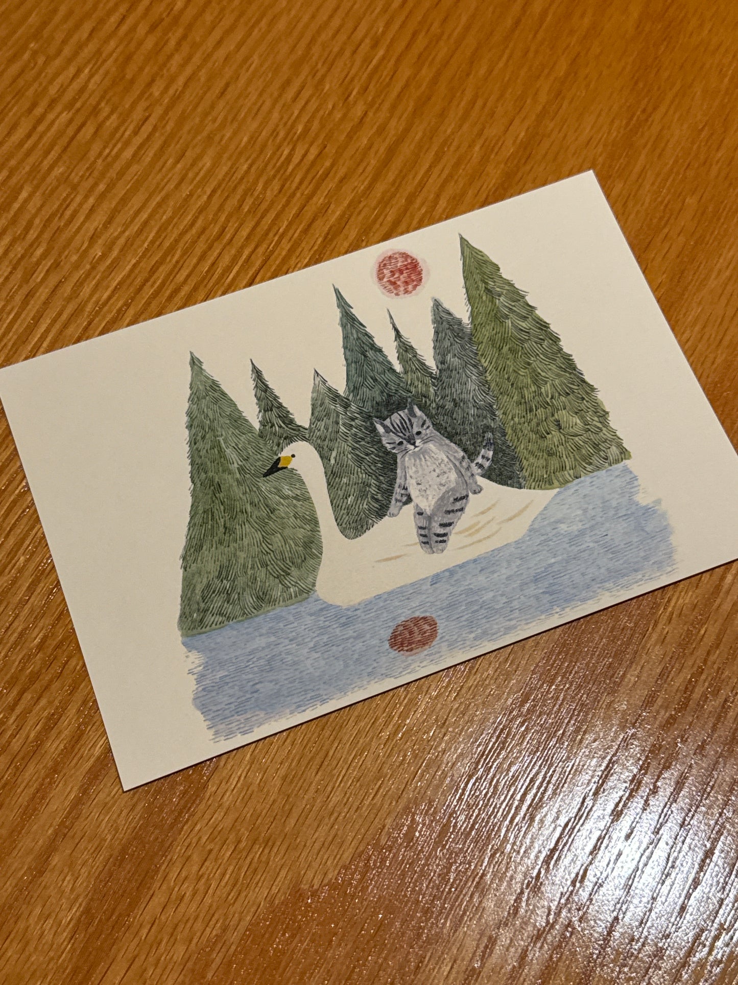 Swan and cat