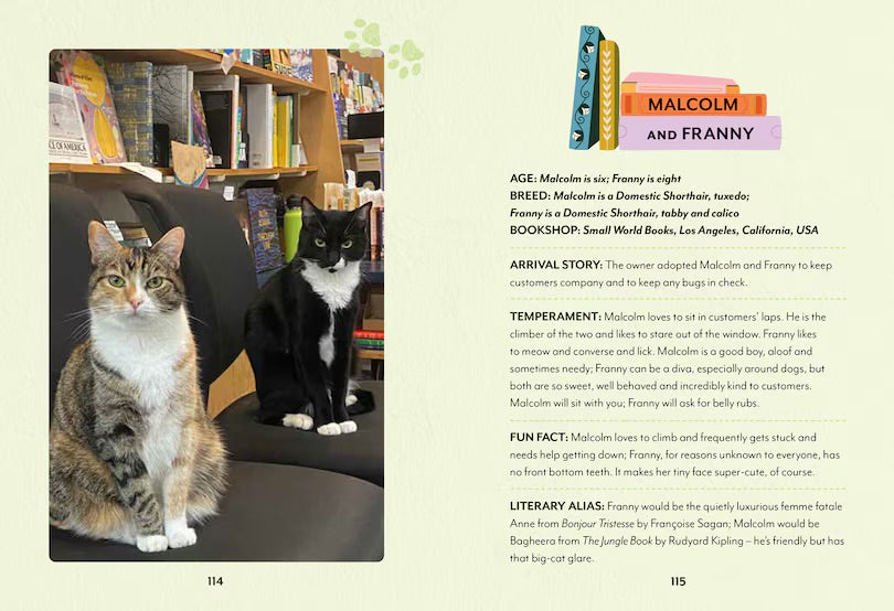Bookshop Cats