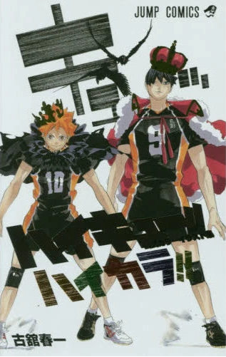 HaiColor!!: Haikyu!! Color Illustration Collection