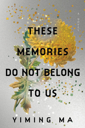 These Memories Do Not Belong to Us: A Novel