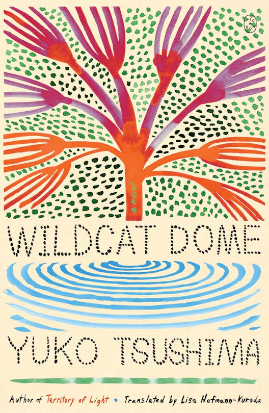 Wildcat Dome: A Novel
