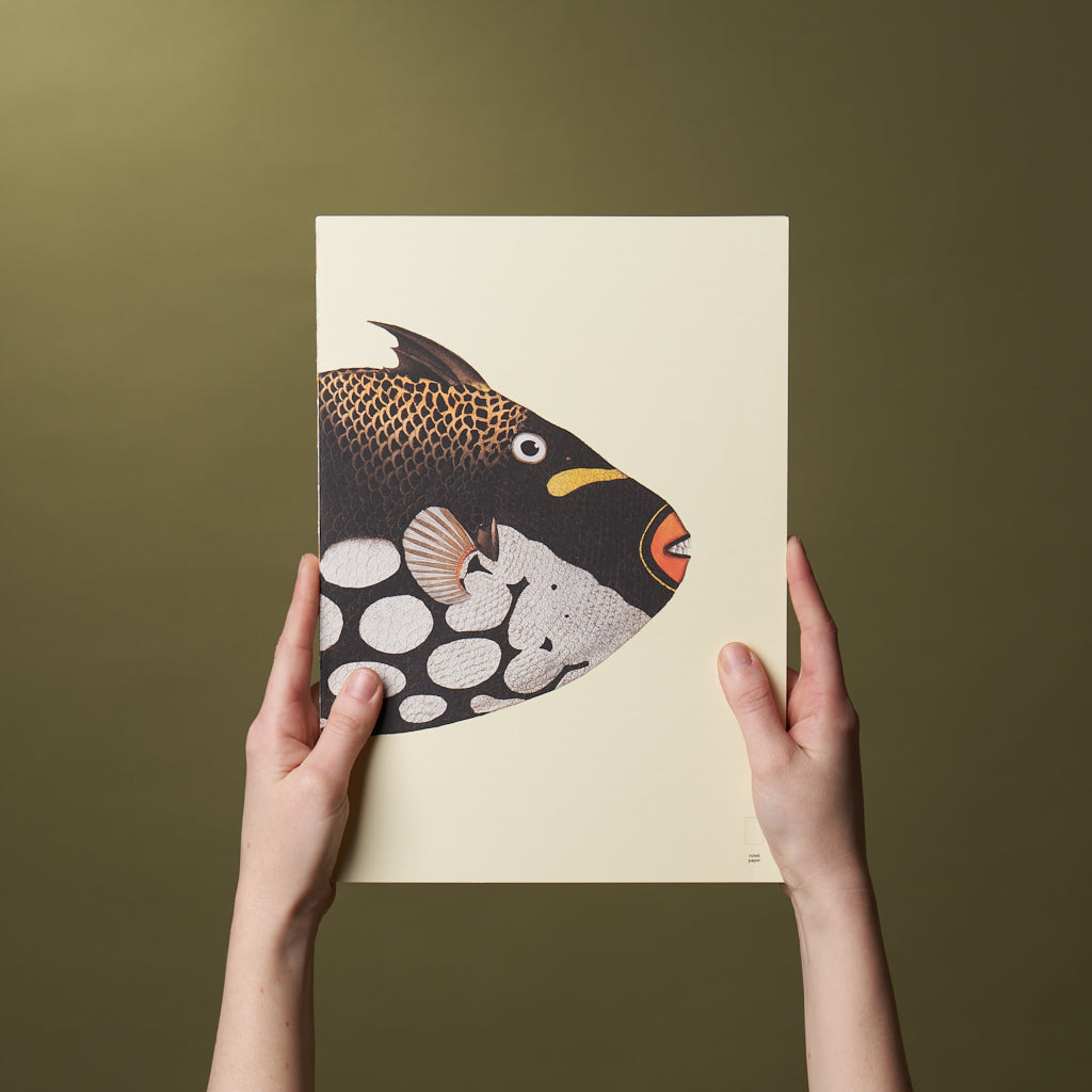 Paper Republic - Book Refill | Reef Collection