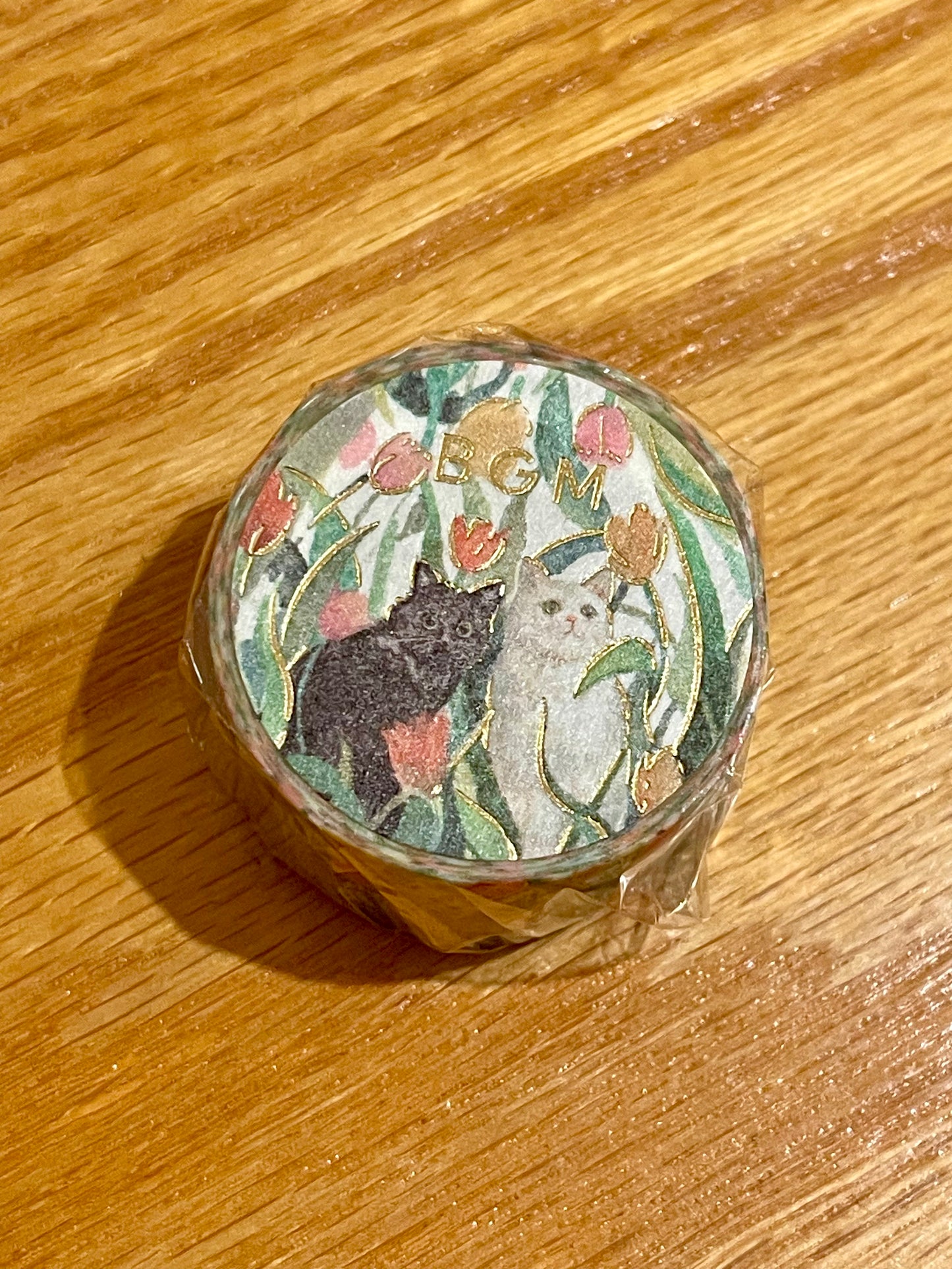 Washi Tape - Watercolour Couple II