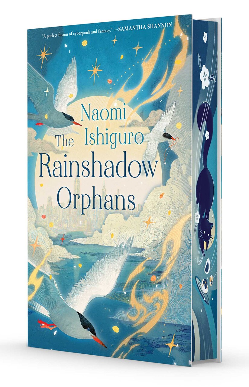 The Rainshadow Orphans (The Rainshadow Series Book 1)