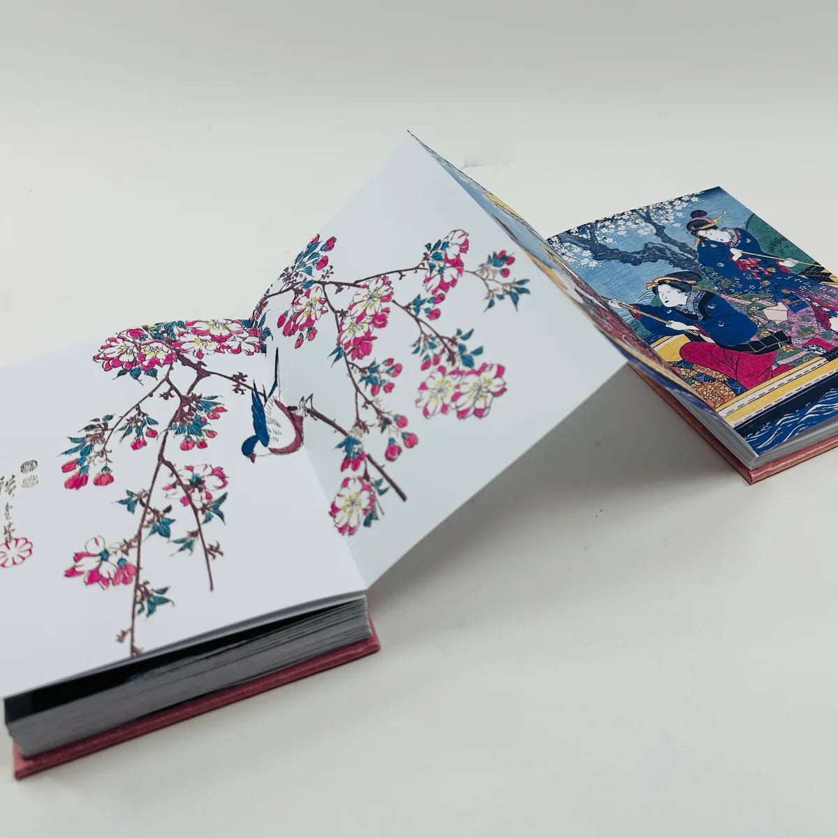 Books: Photography / Art / Graphic Novels