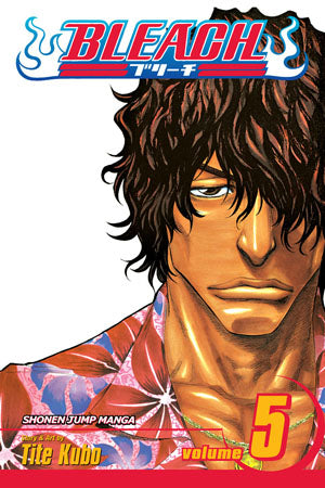 Bleach 05 [English Edition]