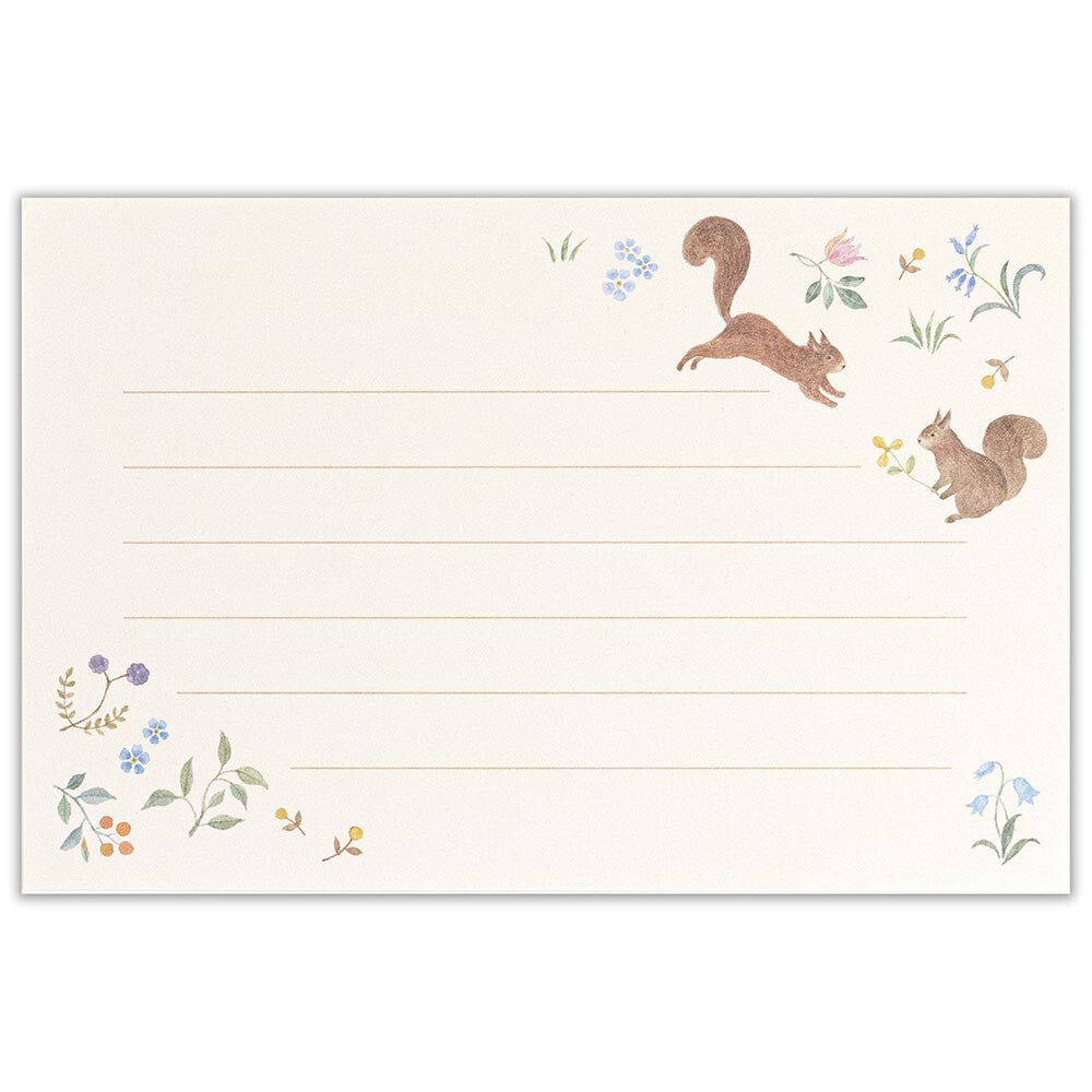 Letter Set Michikusa - Squirrel