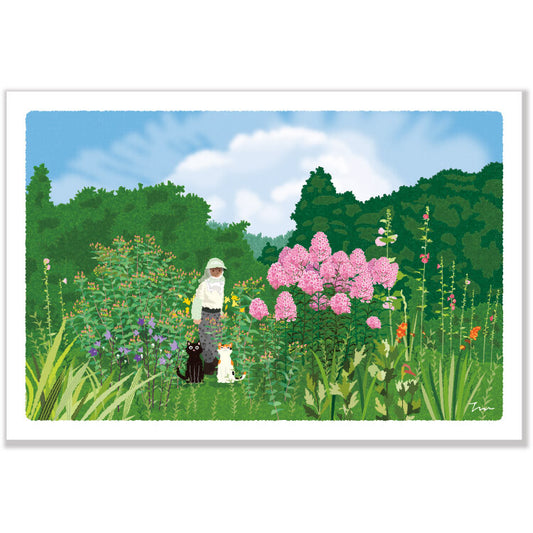 [Moritori Toshinori] Tabineko into the woods - Postcard
