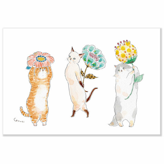 [Tocoro Comugi] Flower Picking Cats - Postcard