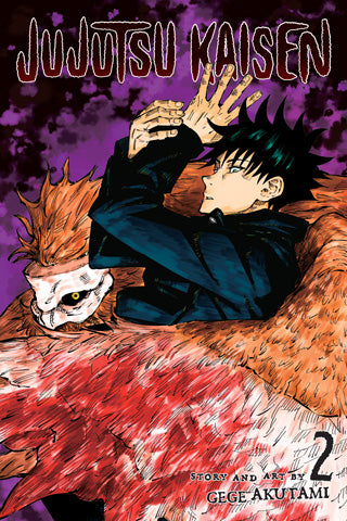 Jujutsu Kaisen 02 [English Edition]