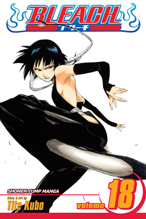 Bleach 18 [English Edition]