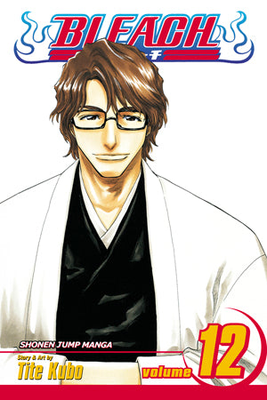 Bleach 12 [English Edition]
