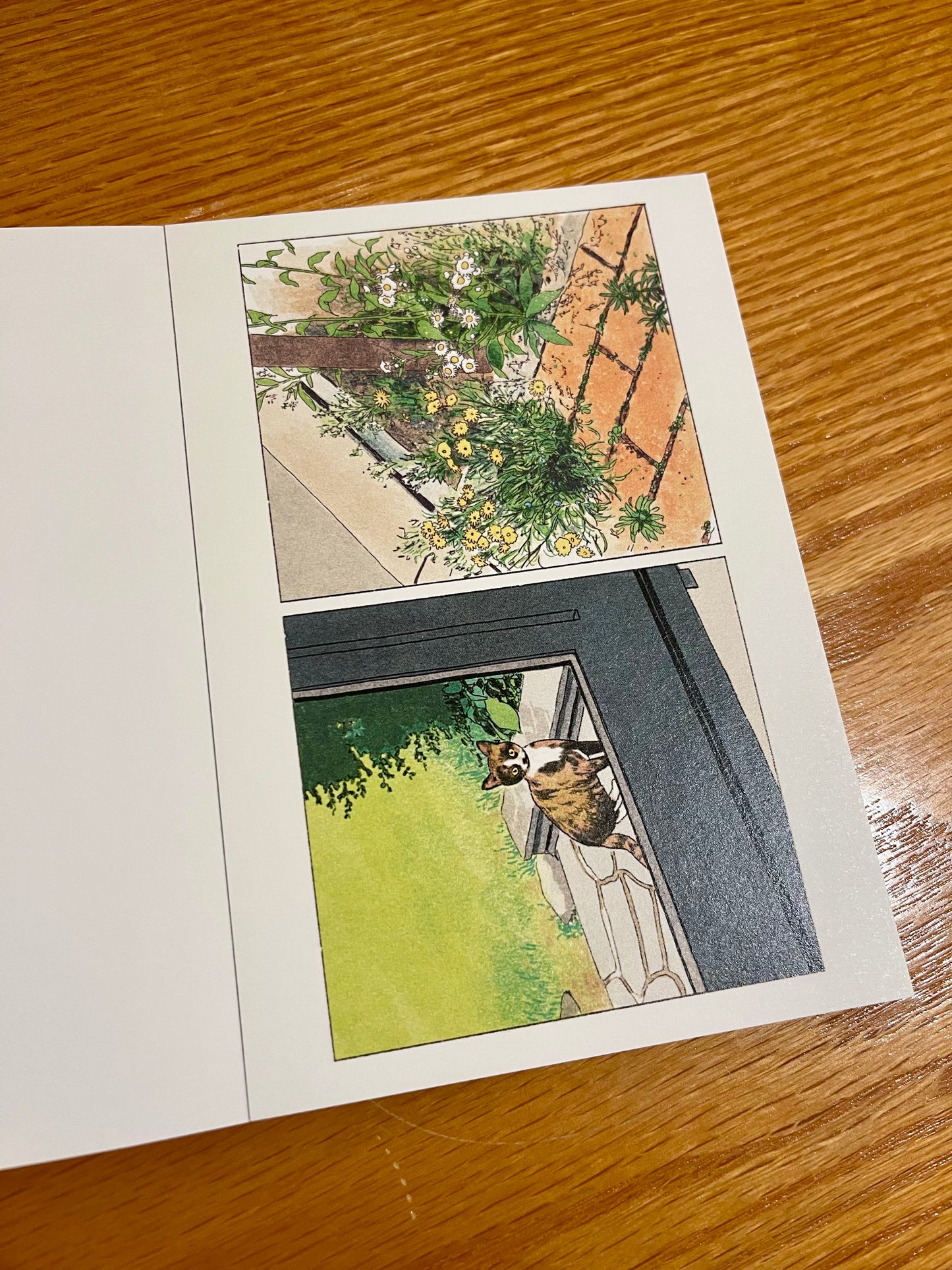 [Banzisu] Postcard Book - 20 Art Cards