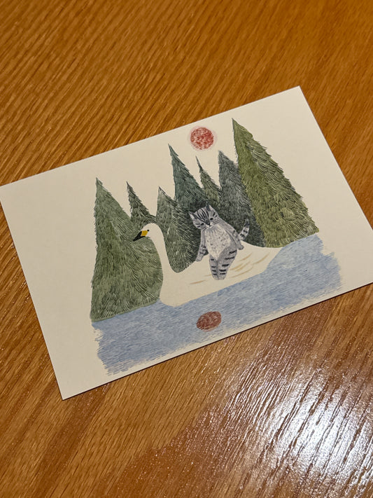 Swan and cat