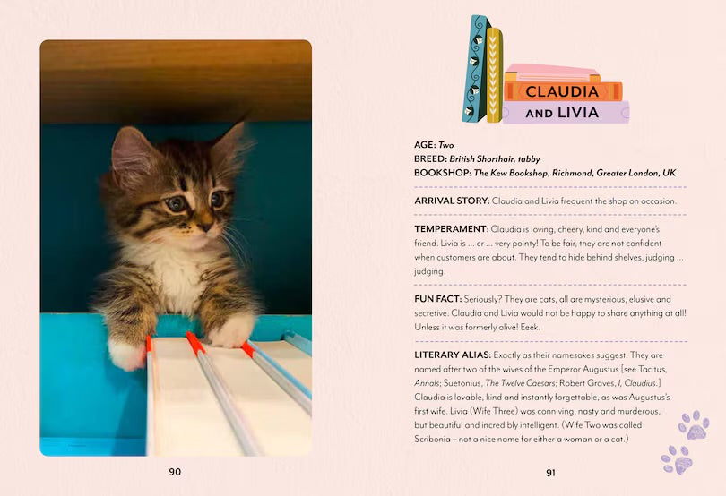Bookshop Cats