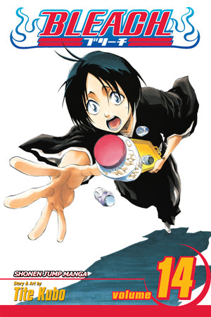 Bleach 14 [English Edition]