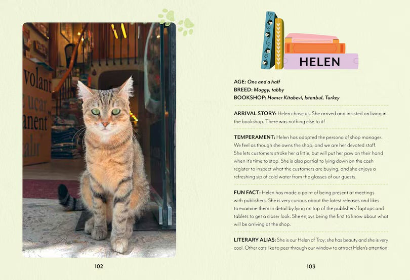 Bookshop Cats