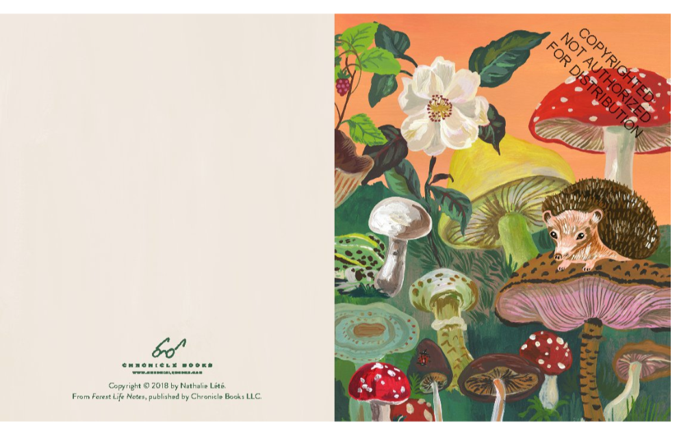 Forest Life Notes: 20 Notecards & Envelopes