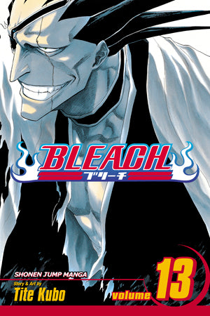 Bleach 13 [English Edition]