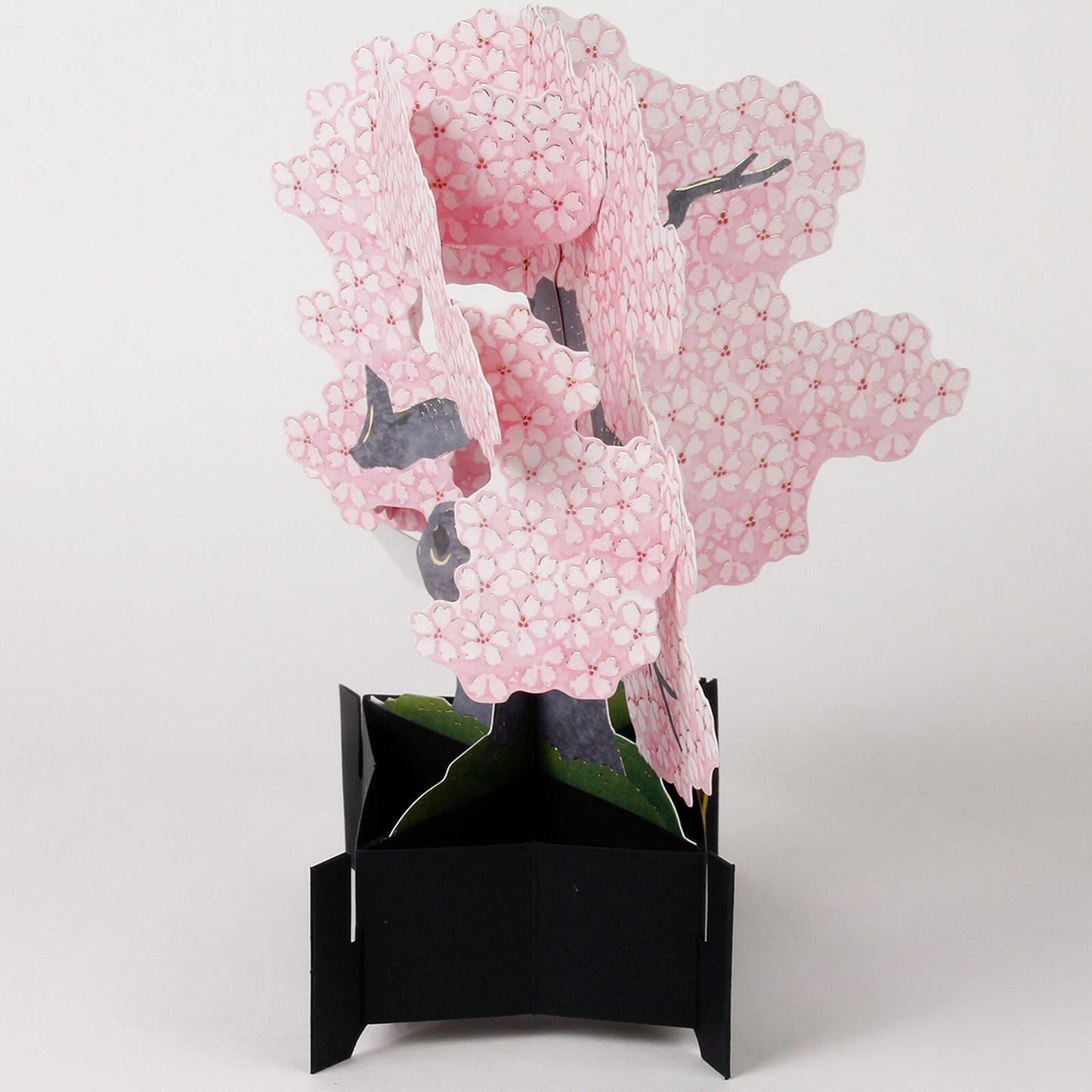 Sakura Bonsai Pop-Up Postcard