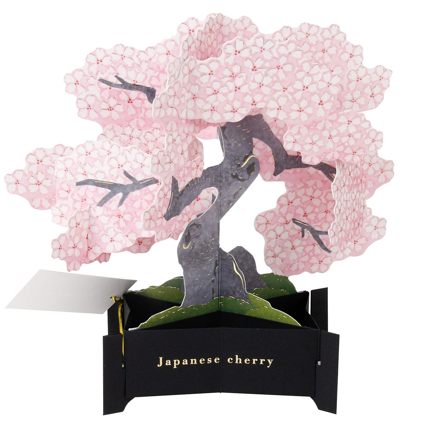 Sakura Bonsai Pop-Up Postcard