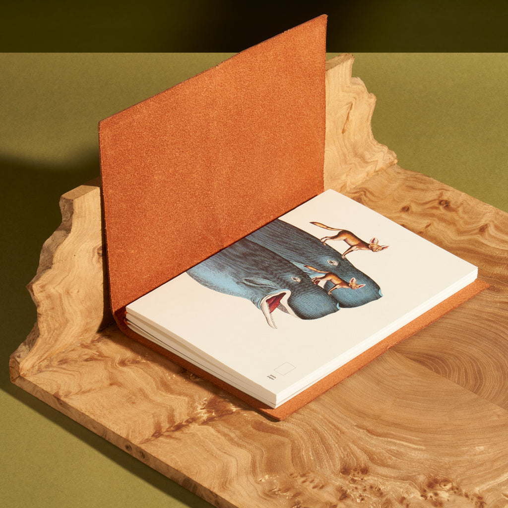 Paper Republic - Book Refill | Animal Companions Collection