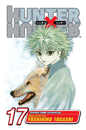 Hunter X Hunter 17 [English Edition]