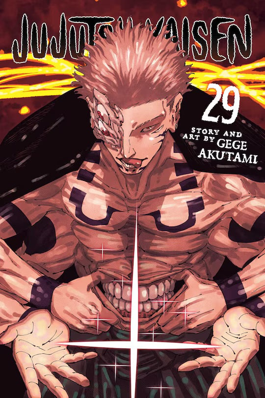 Jujutsu Kaisen 29 [English Edition]