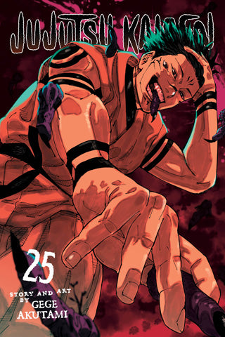 Jujutsu Kaisen 25 [English Edition]