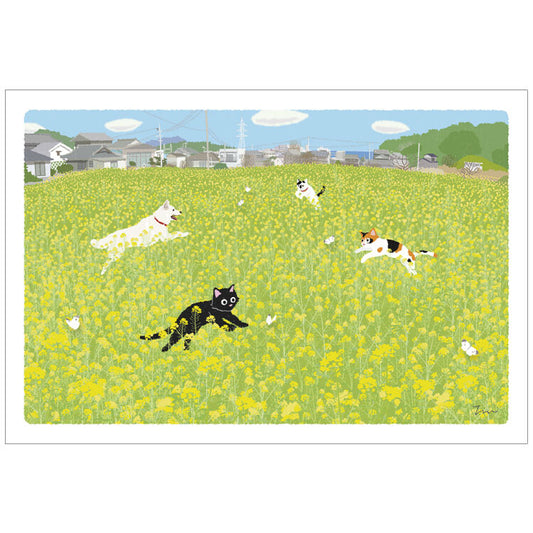 [Moritori Toshinori] Tabineko Postcard - Blossom Field (Spring)