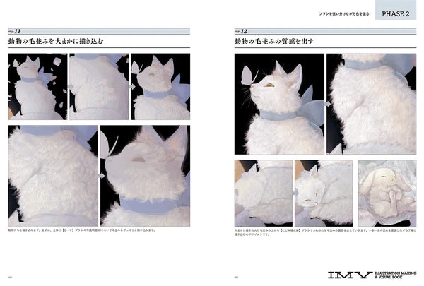 Akashi Ni Irozuku Hi Shirone Works (ILLUSTRATION MAKING & VISUAL BOOK)