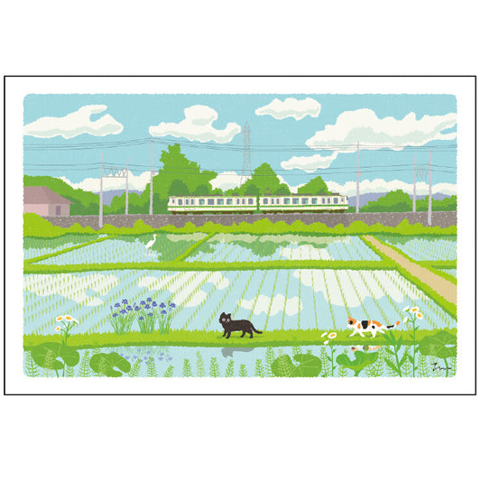 [Moritori Toshinori] Tabineko Rice Fields