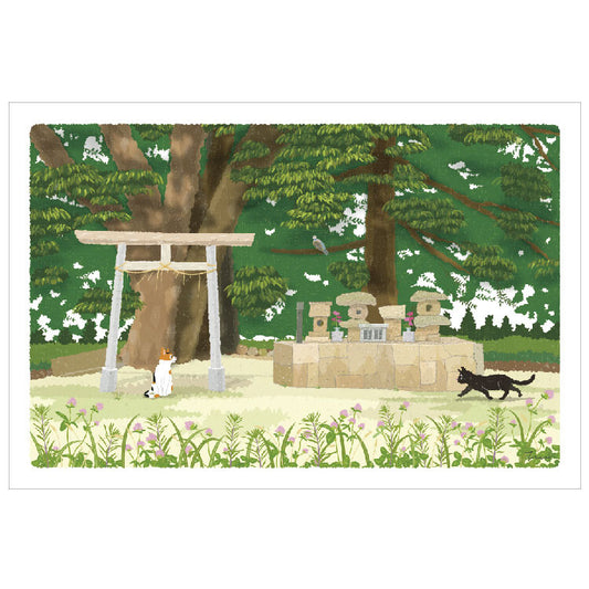 [Moritori Toshinori] Tabineko The Promise Place - Postcard