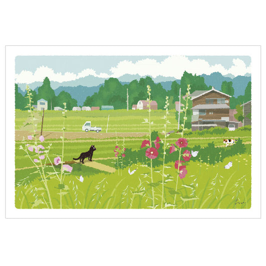 [Moritori Toshinori] Tabineko Early Summer Light - Postcard