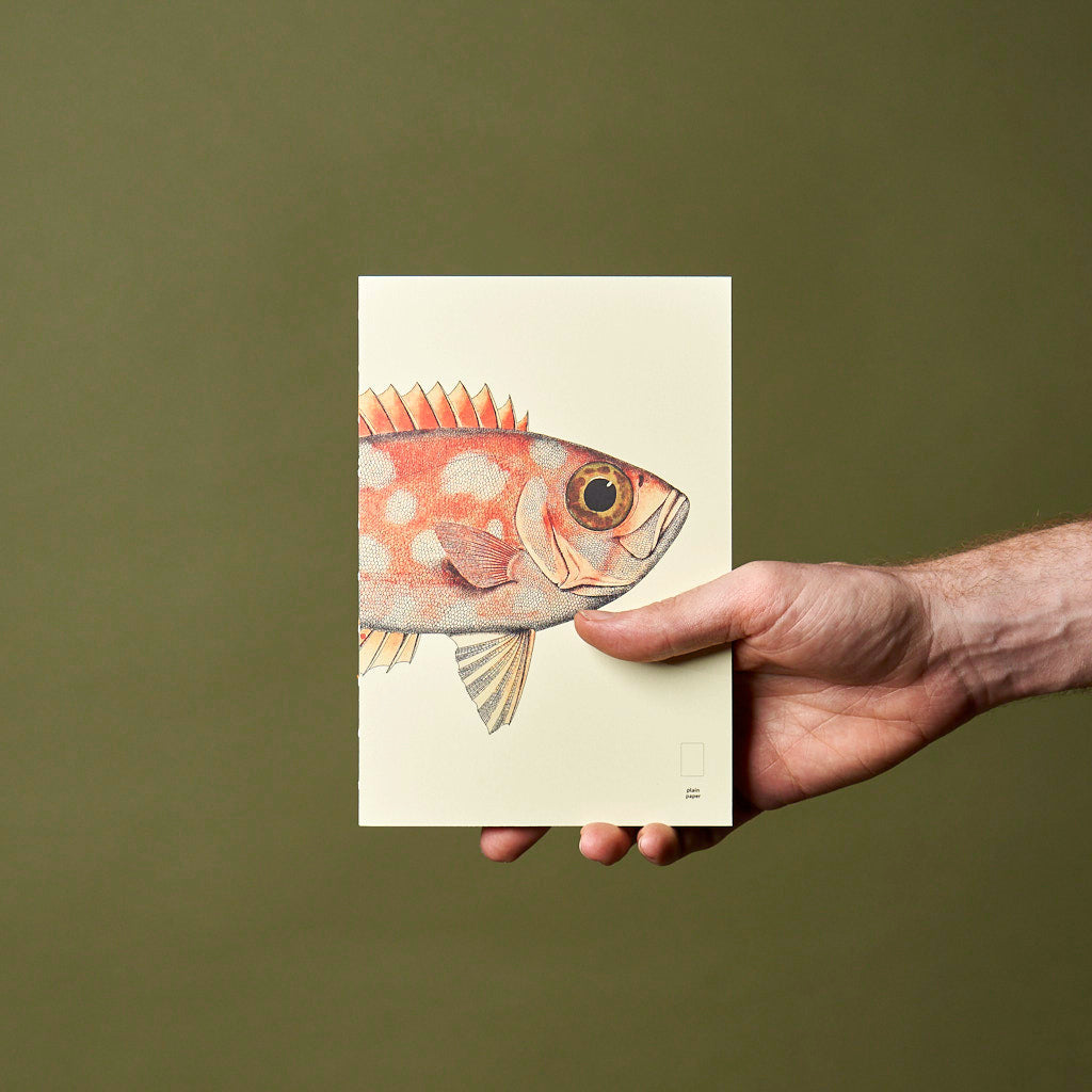 Paper Republic - Book Refill | Reef Collection
