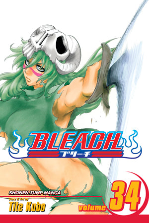 Bleach 34 [English Edition]