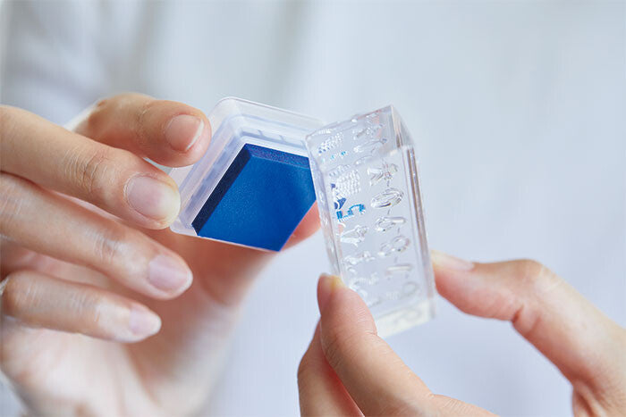 Kori Jirushi Ice Cube Stamps Long NEW 2025 Designs