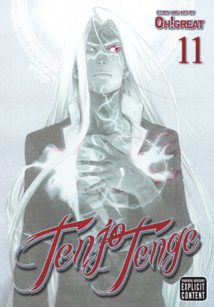 Tenjo Tenge (Full Contact Edition 2-in-1) Vol. 11 [English Edition]