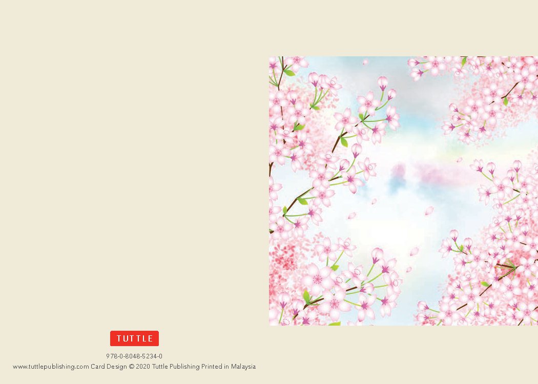 Japanese Washi, 16 Note Cards