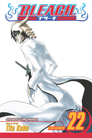 Bleach 22 [English Edition]