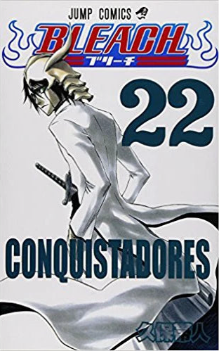Bleach 22 [Japanese Edition]