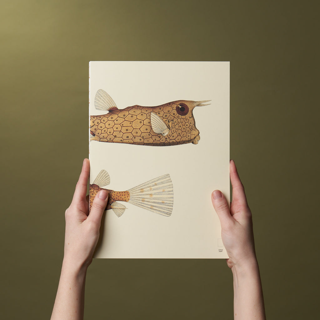 Paper Republic - Book Refill | Reef Collection