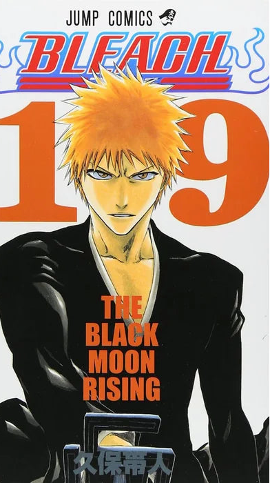Bleach 19 [Japanese Edition]