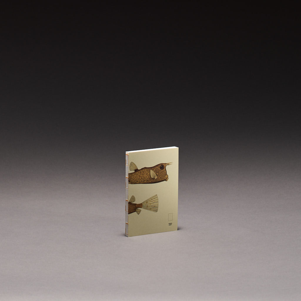Paper Republic - Book Refill | Reef Collection