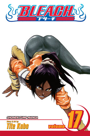 Bleach 17 [English Edition]