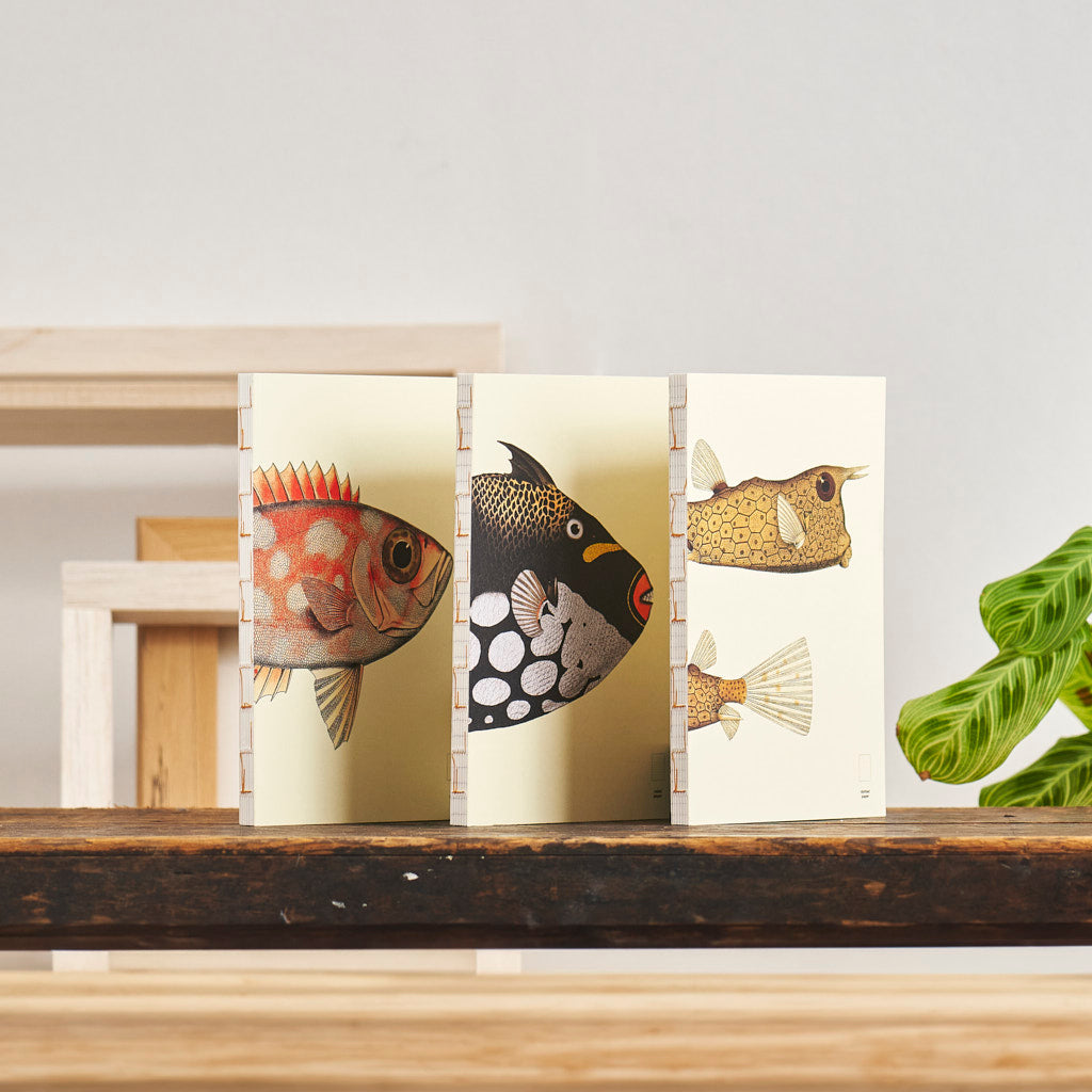 Paper Republic - Book Refill | Reef Collection