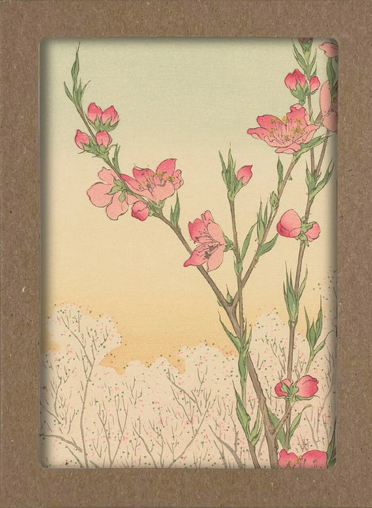Smithsonian Cherry Blossom Notecard Set: 8 Blank Notecards of 4 Designs & Envelopes