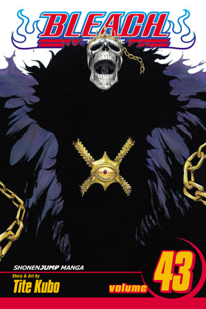 Bleach 43 [English Edition]