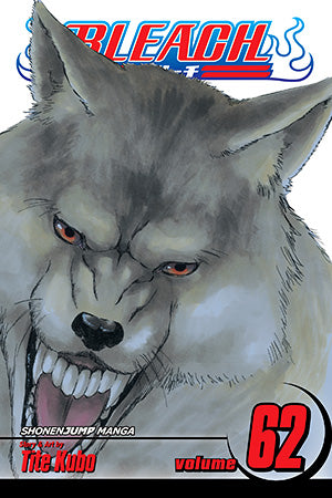 Bleach 62 [English Edition]